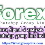 Forex WhatsApp Group Links